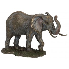 Elephant with a raised trunk