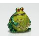 Jewelry Box Frog