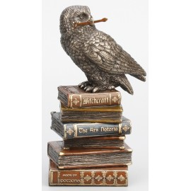 Magic Wand Snowy Owl on Book Stack