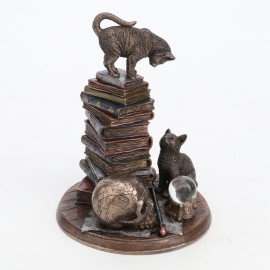 Kot na książkach
