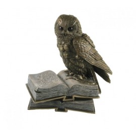 Owl with a book