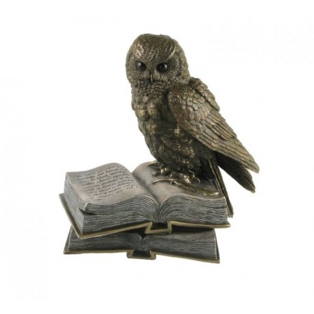 Owl with a book