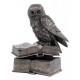 Owl on books - trinket box
